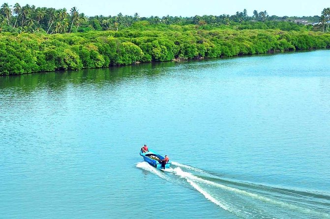 Exclusive: Muthurajawela Bird Watching Tour with Transfers - The Guide, Narration, and Light Refreshments