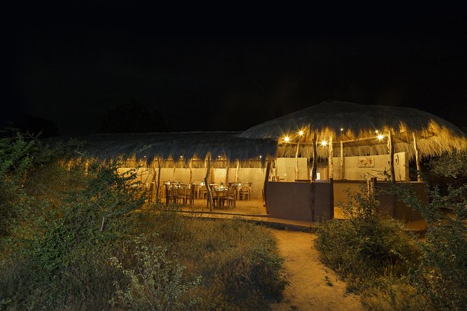 Exclusive : Overnight Leopard Safari with Luxury Glamping - Key highlights worth planning around