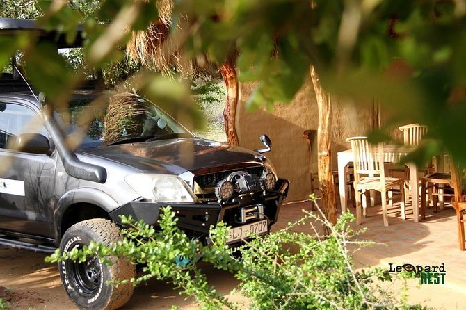 Exclusive : Overnight Leopard Safari with Luxury Glamping - Dinner Under the Stars and Sleeping in Private Luxury Tents