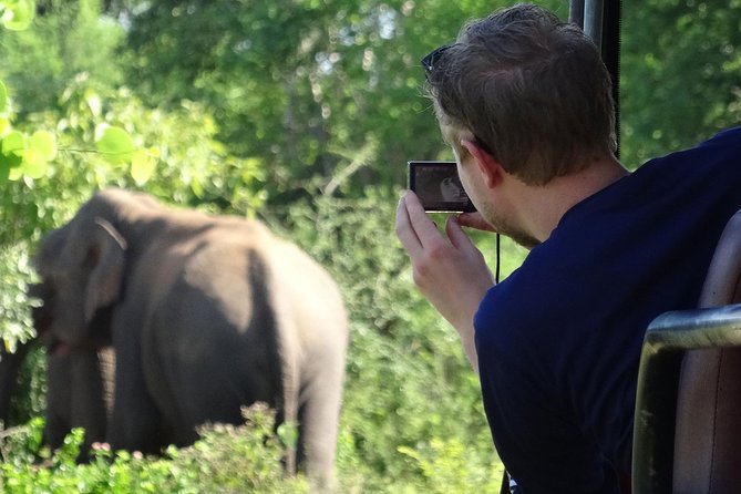 Exclusive : Overnight Leopard Safari with Luxury Glamping - 5:00 am Wake Up for Nimalawa, Ceylon Tea, and Bird Watching