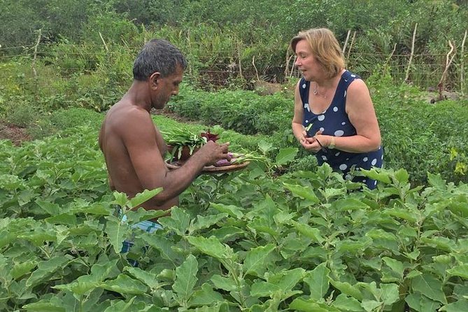 Exclusive: Southern Sri Lanka Sightseeing Private Day Trip - Choosing a guide level: how it changes your Galle Fort experience
