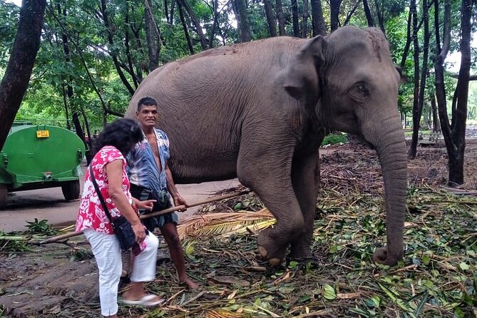Explore Colombo by Tuk Tuk Morning & evening (Private Tours) - The Route: From Cinnamon Gardens to Pettah market madness