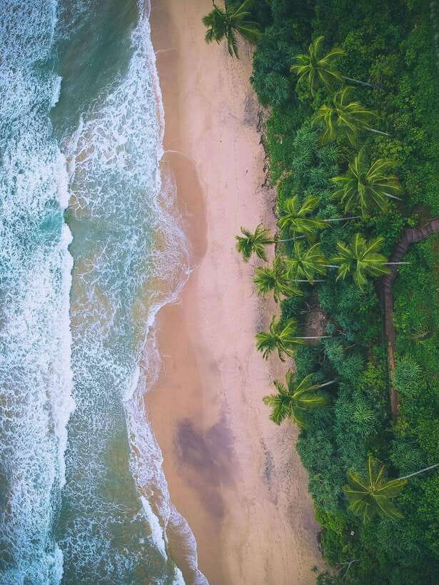 Explore the MAGIC of Sri Lanka in 7days -4 Star hotels Incl. - Sigiriya and Dambulla: Rock Fortress plus cave temples and local markets