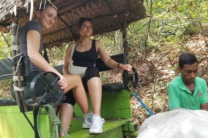 Explore Wonders of Sri Lanka 7 Days Private Tour - Private transportation that keeps your day from turning into a full-time job