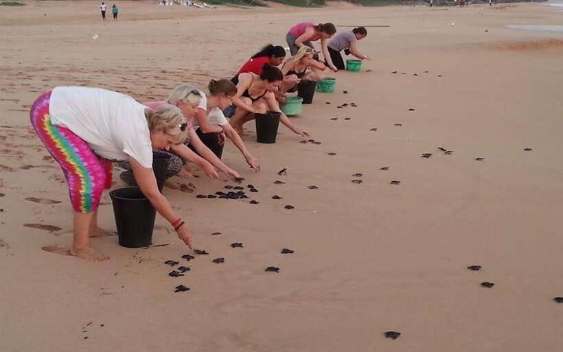 From Colombo: Galle, Bentota Coastal Highlights Private Tour - Banana boat energy and the real wildlife feel