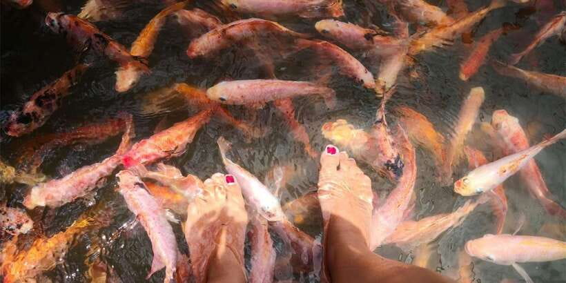 From Colombo: Handungoda, Galle, Ahangama, & Kosgoda Tour - Pricing and value: is $110 per person a good deal?