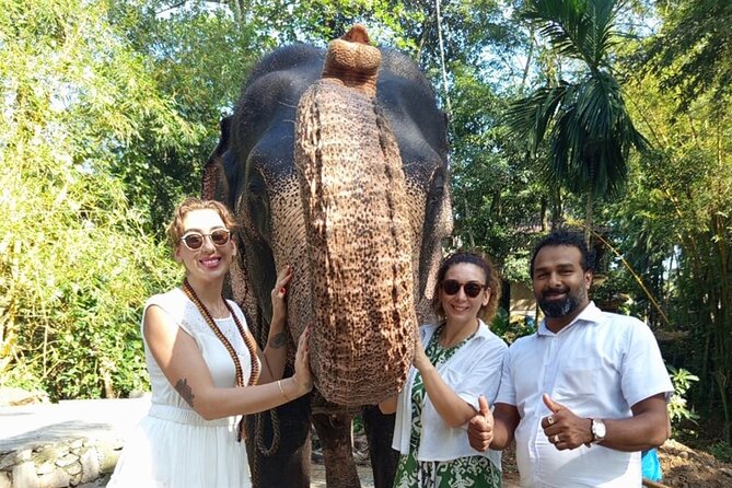 From Colombo: Kandy and Pinnawala Full-Day Trip - Highlights at a Glance