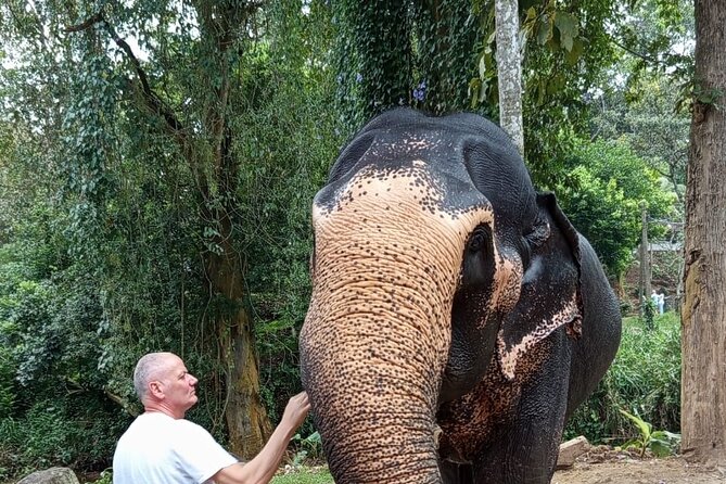 From Colombo: Kandy and Pinnawala Full-Day Trip - How This Colombo to Kandy Trip Really Works