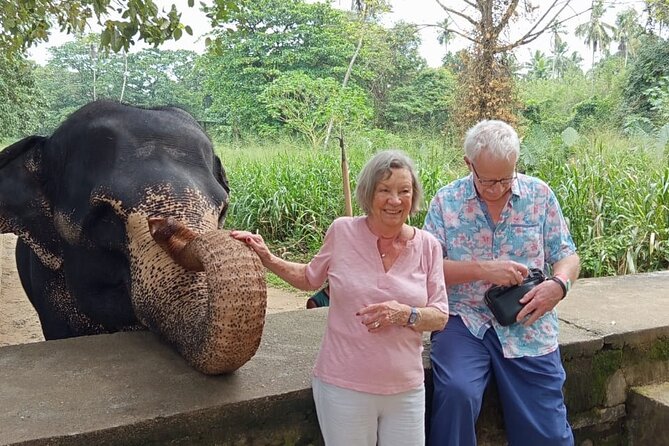 From Colombo: Kandy and Pinnawala Full-Day Trip - Pinnawala Elephant Orphanage: The Day’s Most Emotional Start
