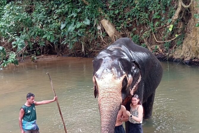 From Colombo: Kandy and Pinnawala Full-Day Trip - Kandy View Point: Short, Scenic, and Worth the Photo Break