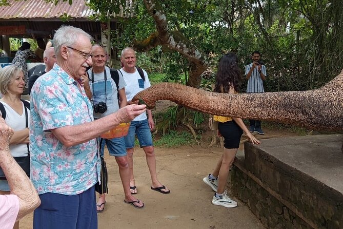 From Colombo: Kandy and Pinnawala Full-Day Trip - Royal Botanical Gardens: The Calm Middle of the Day