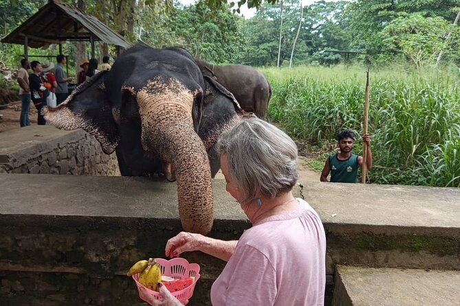 From Colombo: Kandy and Pinnawala Full-Day Trip - Kandy Lake Club Cultural Show: A Lively Finish