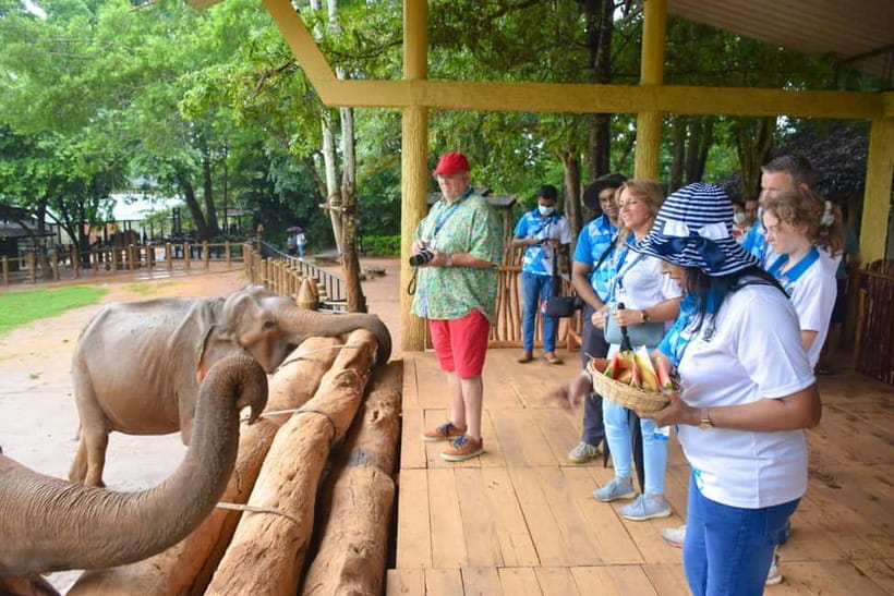 From Colombo: Kandy and Pinnawala Orphanage Short Excursions - Key things to know before you go