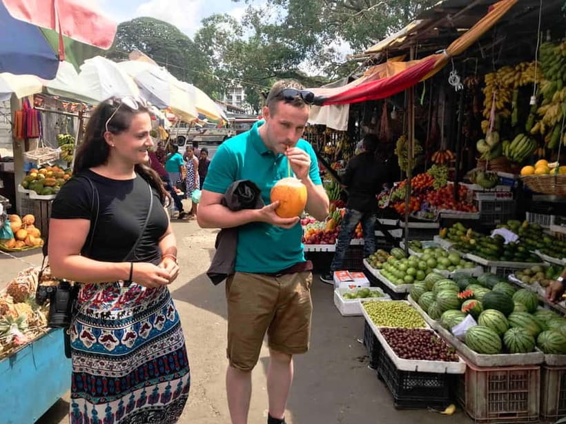 From Colombo: Kandy and Pinnawala Orphanage Short Excursions - Tea factory and the spice walk: what to take seriously, what to treat lightly