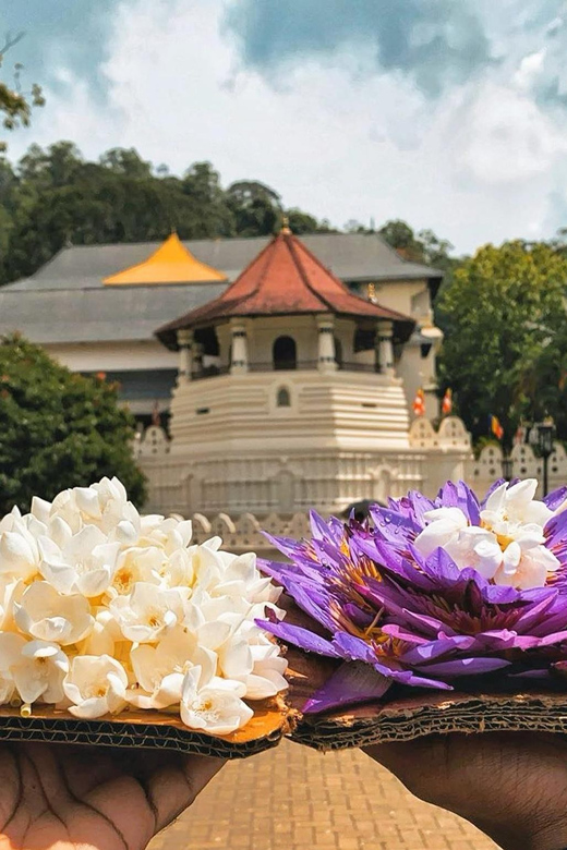 From Colombo: Kandy and Pinnawala Orphanage Short Excursions - Kandy viewpoint: the short pause that can make photos worth it