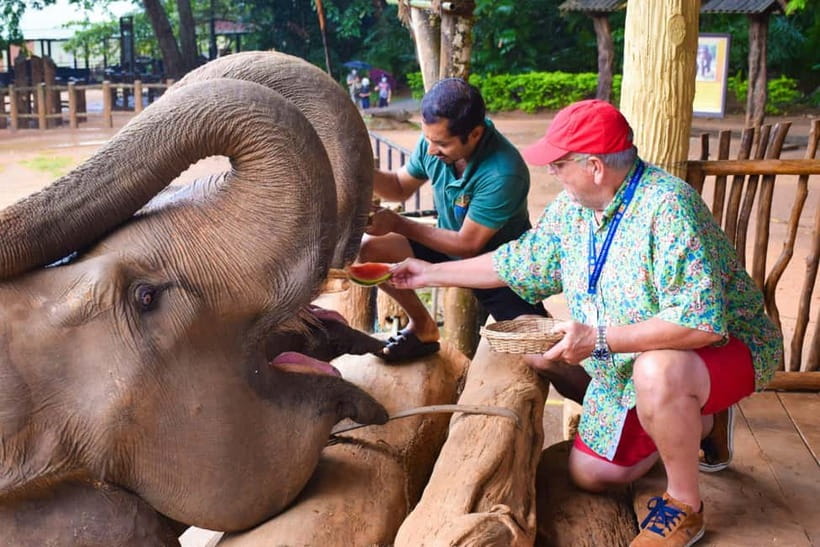 From Colombo: Kandy and Pinnawala Orphanage Short Excursions - Pinnawala Elephant Orphanage: bathing, feeding, and what rides cost extra
