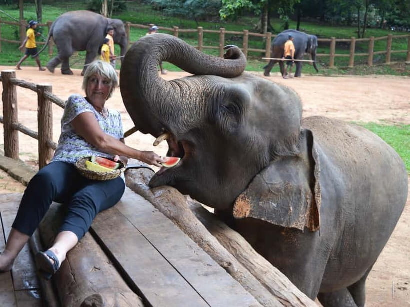 From Colombo: Kandy and Pinnawala Orphanage Short Excursions - Driver and guide experience: why English level changes the whole tour