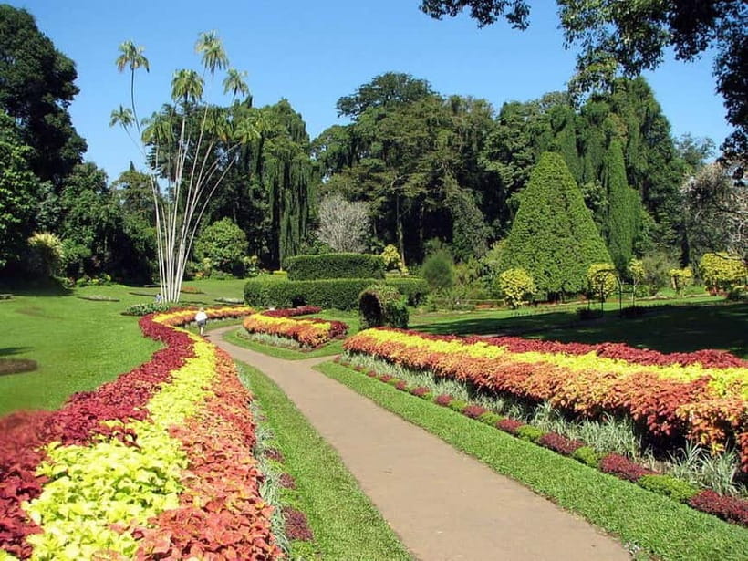 From Colombo: Kandy, Pinnawala and Tea Factory Full-Day Trip - Temple of the Sacred Tooth Relic: The Rules, the Meaning, and the Timing