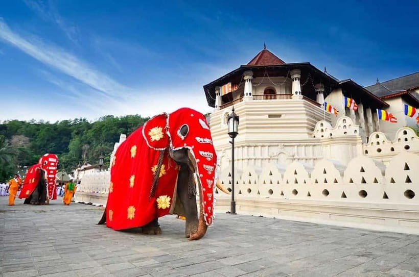 From Colombo: Kandy, Pinnawala and Tea Factory Full-Day Trip - Colombo to Central Province: Pickup, Drive Time, and Comfort