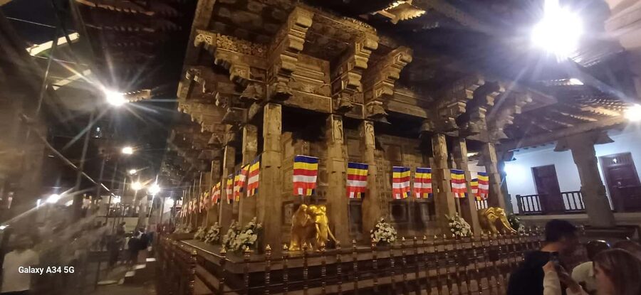 From Colombo: Kandy Temple of Tooth & Elephant Orphanage - Should You Book This Colombo to Kandy Day Trip?