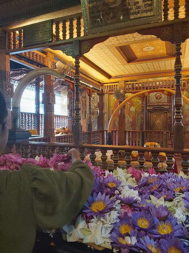 From Colombo: Kandy Temples and Pinnawala Full-Day Tour - Key points before you go