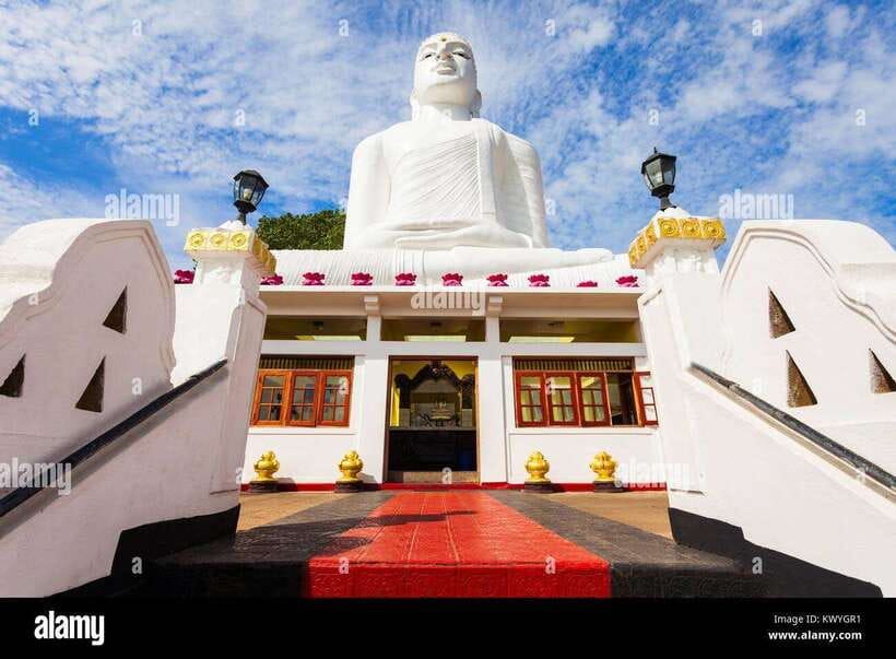 From Colombo: Kandy Temples and Pinnawala Full-Day Tour - Pinnawala Maha Oya River elephants, close enough to remember