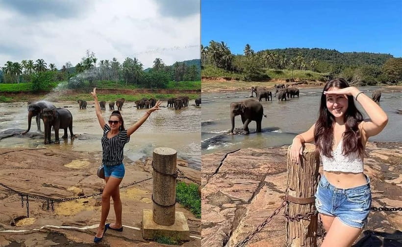 From Colombo: Pinnawala & Tea factory with Kandy Hotel Drop - Pinnawala Elephant Orphanage: a classic stop with real responsibility