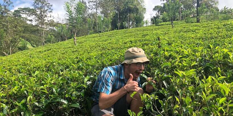 From Colombo: Virgin White Tea and Galle City Tour - Key points that make this tour worth your time