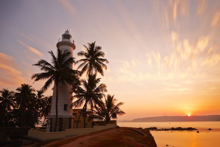 From Colombo: Virgin White Tea and Galle City Tour - Price and logistics, what $115 per person really covers
