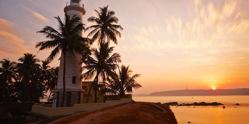 From Colombo: Virgin White Tea and Galle City Tour - Handunugoda tea factory, Virgin White Tea, and what you actually get to see