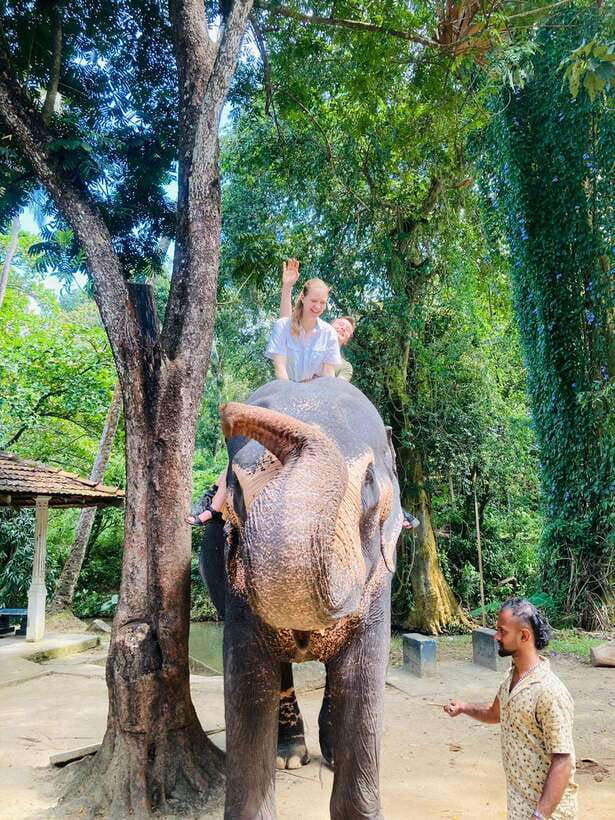 From Kandy : Pinnawala Elephant Orphanage & Ambuluwawa Tower - Ambuluwawa Tower: climbing to 360 degrees (and what if it’s closed)