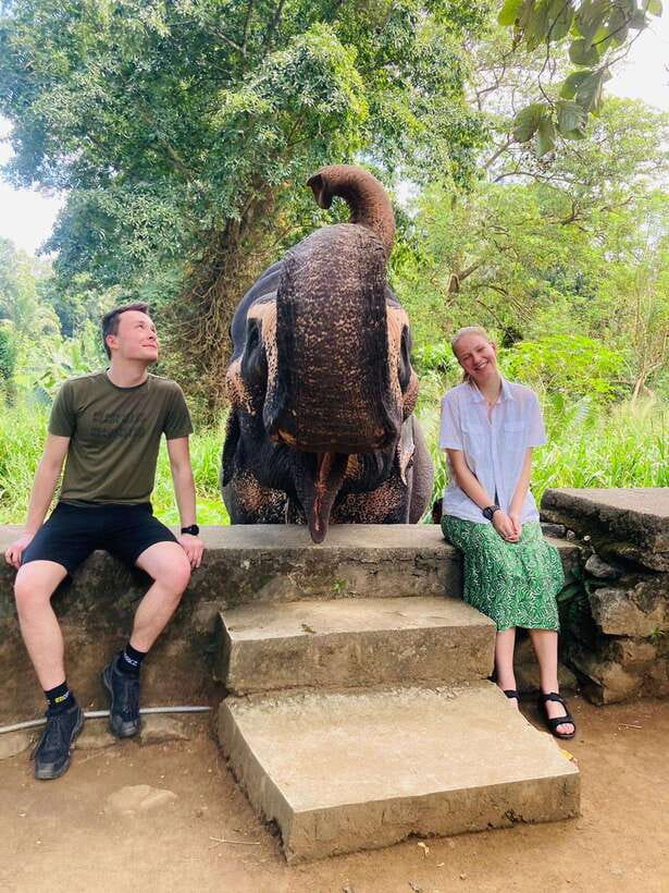 From Kandy : Pinnawala Elephant Orphanage & Ambuluwawa Tower - Why this Kandy day trip feels worth your time