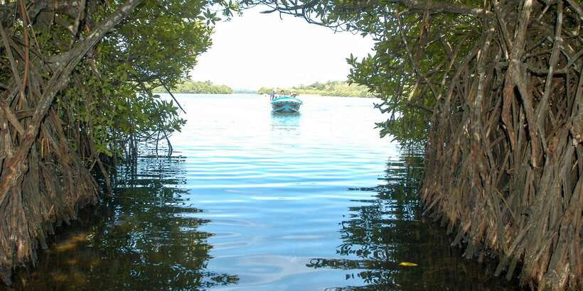 From Negombo: Bentota Full-Day Tour - What to bring, what not to do, and how to stay comfortable