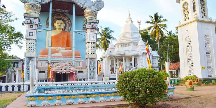 From Negombo: City Tour & Fishing Village Tour by Tuk-Tuk - Lellama seafood market: the real Negombo start