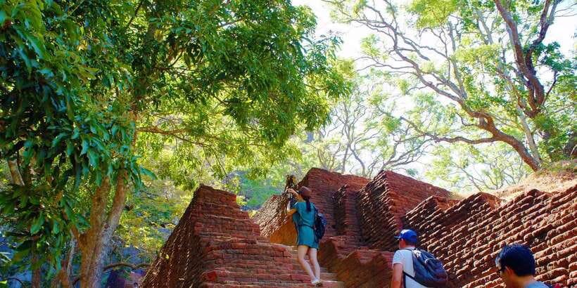 From Negombo: Sigiriya and Dambulla Day Trip and Safari - A full 14 hours from Negombo, built around timing