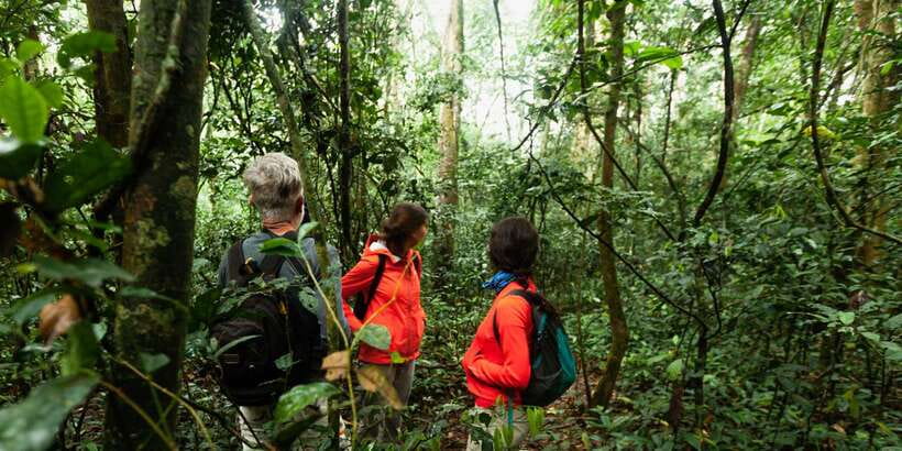From Western Province: 2-Day Hill Country Highlights Trip - Udawalawe National Park safari: elephants, crocodiles, and birds