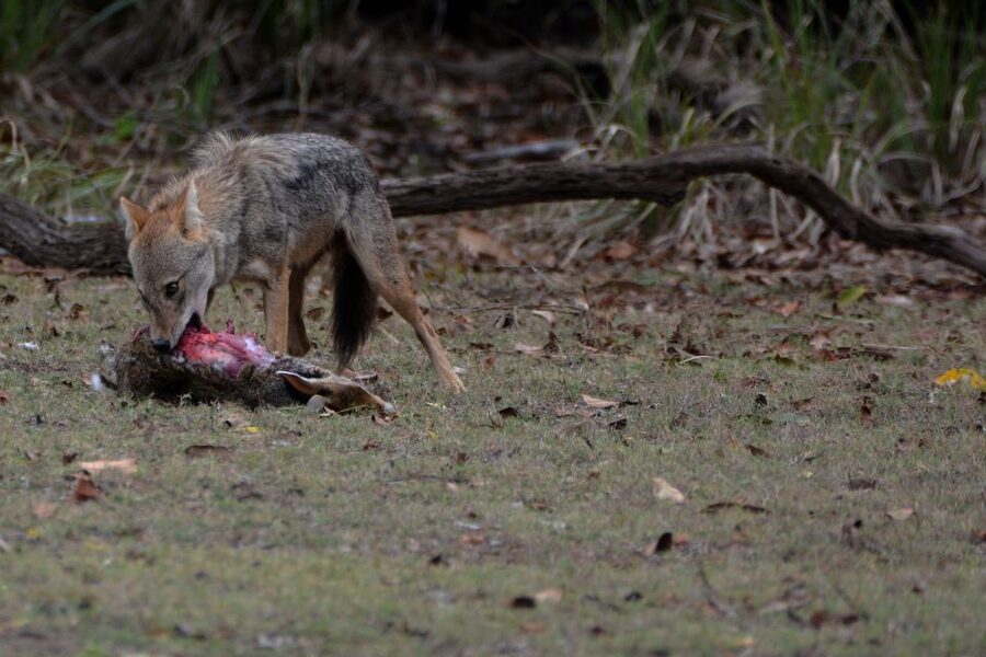 From Western Province: 2-Day Hill Country Highlights Trip - Price and value: what $299 per person really buys in 2 days