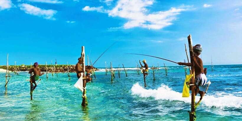 Galle Day Trip - River Safari, Sea Turtle & Stilt Fishermen - Key highlights you should care about