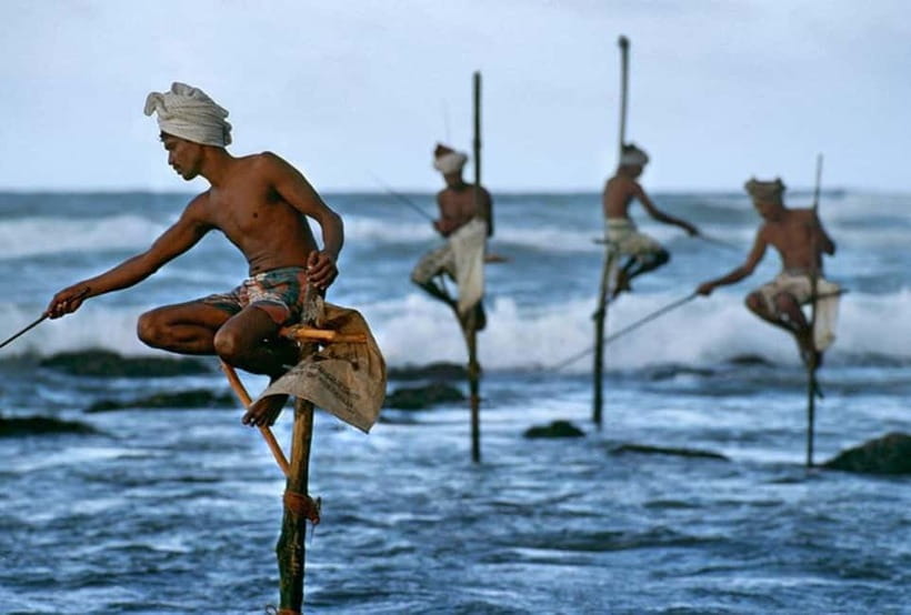 Galle Day Trip - River Safari, Sea Turtle & Stilt Fishermen - What this Galle fort and Bentota river day trip really includes