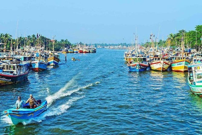 Half Day Tour to Muthurajawela, Lagoon, Dutch Canal and Mangroves - Muthurajawela Marsh: wetlands that turn bird spotting into a game