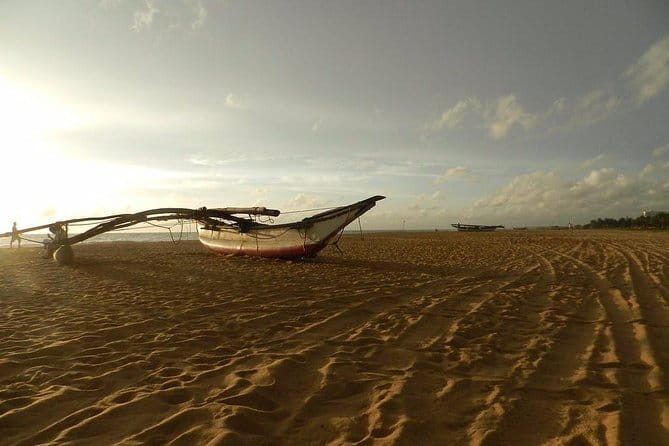 Half Day Tour to Muthurajawela, Lagoon, Dutch Canal and Mangroves - Bird watching that feels practical, not performative