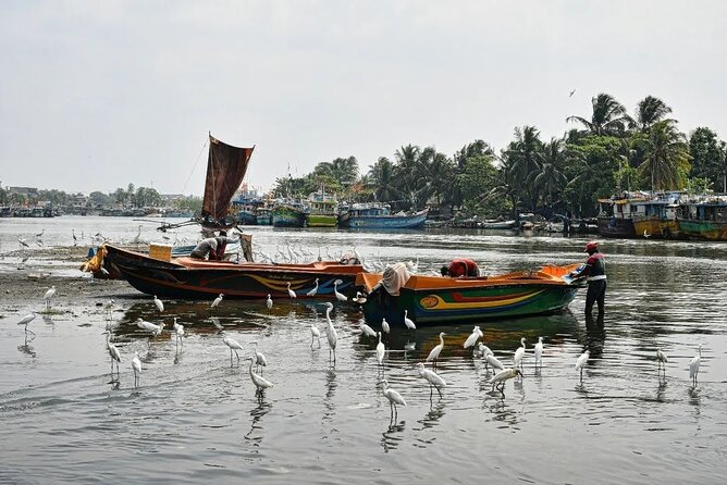 Heritage & Cultural Walk in Negombo - The Guide Factor: Premil, Shashi, Kavin, Kamal, and Heshan