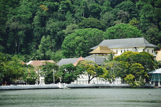 Highlights of Sri Lanka 8 Days Private Tour - Day 3: Sigiriya, Dambulla Cave Temple, and Kandy in one packed cultural day