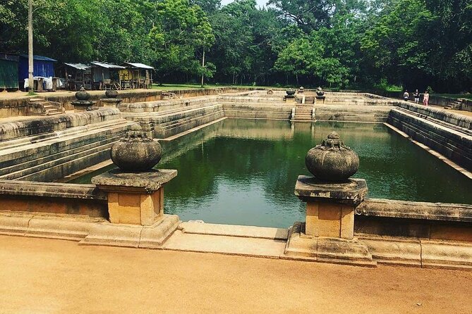 Highlights of Sri Lanka 8 Days Private Tour - Day 4: Temple of the Tooth Relic, Peradeniya Gardens, Ramboda Falls, and a tea estate