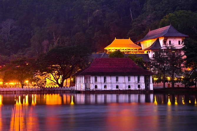 Kandy and Pinnawala Private Day Tour from Colombo/Negombo - Tea factory visit and herbal spice garden time