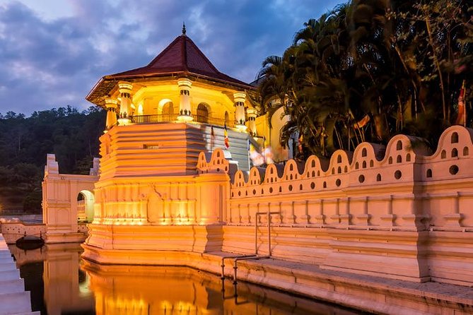 Kandy and Pinnawala Private Day Tour from Colombo/Negombo - Peradeniya Botanical Gardens: the calming break between big sights