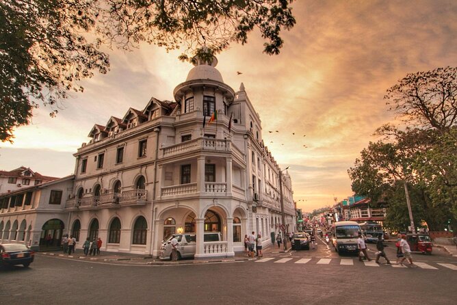 Kandy City Tour from Colombo - Peradeniya Royal Botanical Gardens: Orchids, Palms, Suspension Bridge, and Hidden Corners