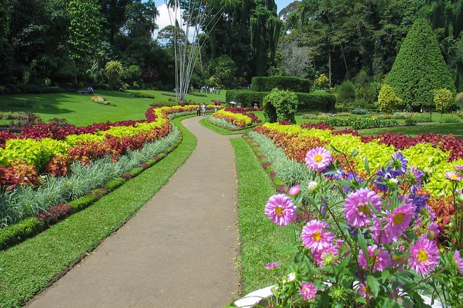 Kandy City Tour from Colombo - Kandy City Centre and Your 1.5 Hours to Reset