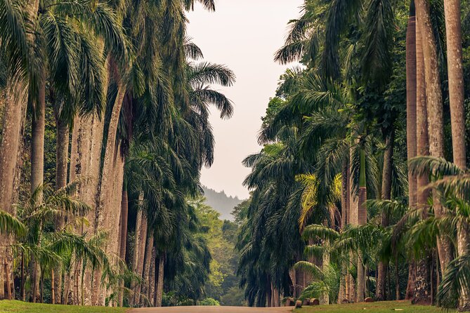 Kandy City Tour from Colombo - Temple of the Sacred Tooth Relic: Golden Roofs, Carvings, and Temple Etiquette That Matters