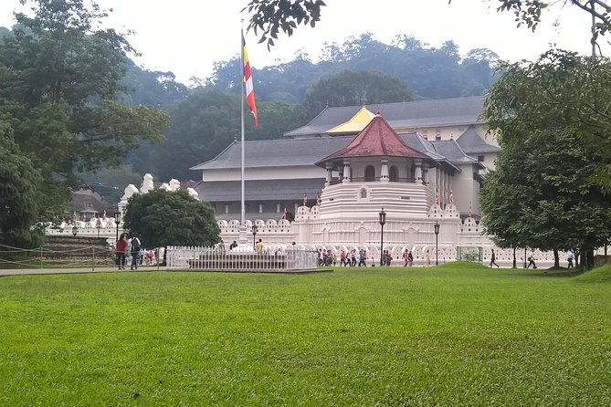 Kandy Day Tour From Colombo - Why a 6:00 am Kandy start can be worth it